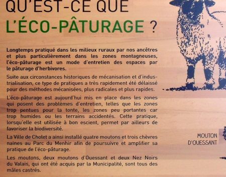 eco paturage